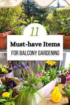 flowers and plants in pots with the title 11 must - have items for balcony gardening