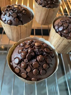 chocolate cupcakes cooling on the rack in the oven