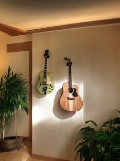 two guitars are hanging on the wall next to a potted plant