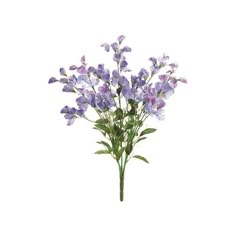 a bunch of purple flowers on a white background