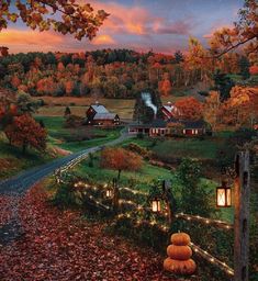 a painting of a country road with houses in the background and fall foliage around it