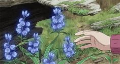 a hand reaching for some blue flowers