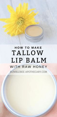 Tallow Benefits, Lipbalm Diy, Natural Motherhood, Bumblebee Apothecary, Tallow Lip Balm, Modern Homemaking, Recipe With Honey