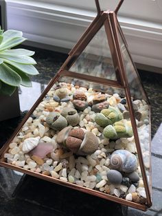 a triangle shaped terrarium filled with rocks and shells