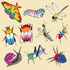 an image of bugs and insects on a beige background