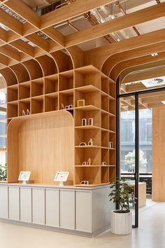 the interior of an office with wooden shelves