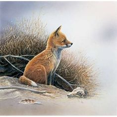 Little fox Poster Print by Jan Weenink Image 1 Fox Poster, Art Fox, Fox Print, Fox Art, Disney Films, Red Fox, Fine Arts Posters, Wildlife Art, 귀여운 동물