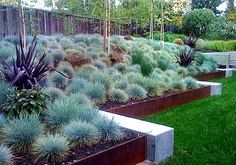 a garden filled with lots of different types of plants