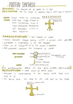 Biology Proteins Notes, Study Notes Biology, Ap Biology Notes, Medical Terminology Study