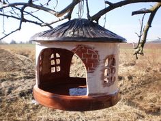 a bird house hanging from a tree branch in the middle of a dry grass field