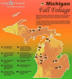 the michigan fall foliage map is shown in orange, green and yellow colors with numbers on it