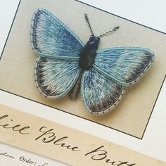 a blue butterfly sitting on top of a piece of paper