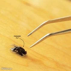 a fly sitting on top of a wooden table next to two pliers