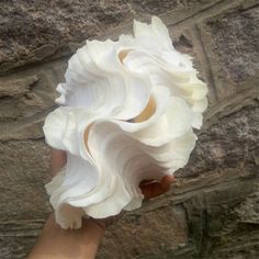 a hand holding a white flower on top of a stone wall