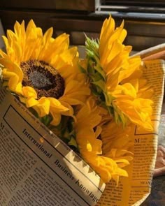 two yellow sunflowers in a newspaper bag