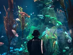 a person standing in front of an aquarium looking at fish