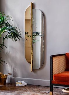 a mirror hanging on the wall next to a couch and potted plant in a living room