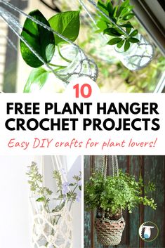 hanging planters with text overlay that says 10 free plant hanger crochet projects