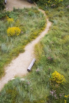 an aerial view of a dirt path in the middle of some grass and yellow flowers