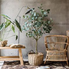 two chairs and a table with plants in them