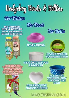 a poster with different types of food items and words on it that say, headley buds & bottles for water for food