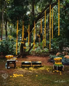 yellow streamers hanging from trees in the middle of a park with benches and tables