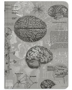 the human brain is shown in this black and white poster, with information about its functions