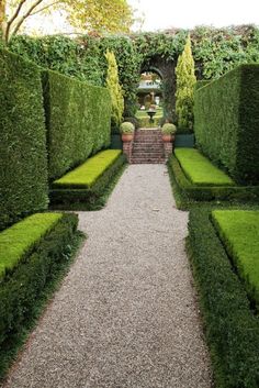 an outdoor garden with hedges and stone walkway