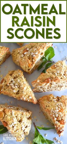 oatmeal raisin scones on a white plate with green leaves and sprigs