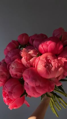 a person holding a bouquet of pink flowers in their left hand, against a gray background