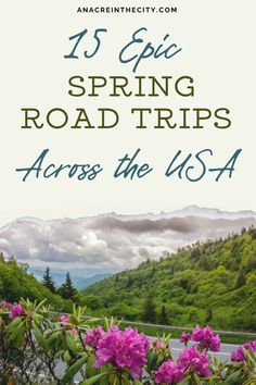 flowers with the words 15 epic spring road trips across the usa