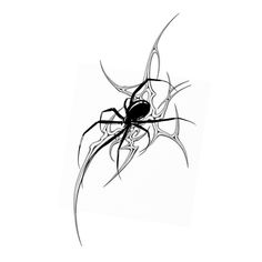 a black and white drawing of a spider