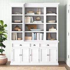 a white bookcase with many books on it and a potted plant next to it