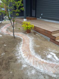 a small tree sitting on top of a wooden deck