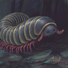 a drawing of a bug crawling on the ground