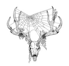 a drawing of a deer skull with antlers on it's head and spider web