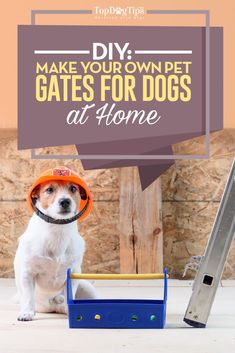 a dog wearing a hard hat with the words diy make your own pet gates for dogs at home