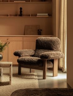 a living room scene with focus on the chair and bookshelf in the background