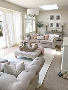 a living room filled with furniture and a dog laying on the floor next to it