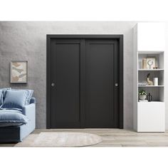 a living room with a couch, bookcase and two black doors on the wall