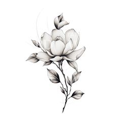 a black and white drawing of a flower