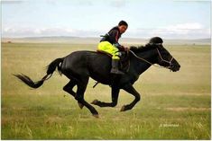 a man riding on the back of a black horse in a field with tall grass