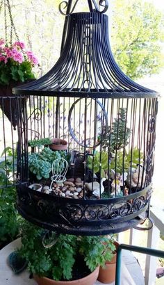 a birdcage filled with plants on top of a table