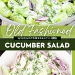 the cover of an old fashioned cookbook with pictures of cucumber salad in it