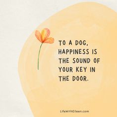 a flower with the words to a dog, happiness is the sound of your key in the door