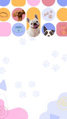 two dogs are looking at each other in front of a white background with colorful circles and paw prints