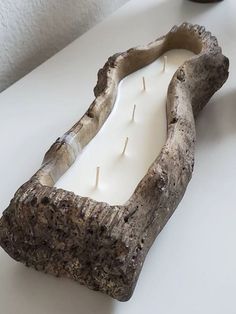 a candle is sitting in a piece of driftwood