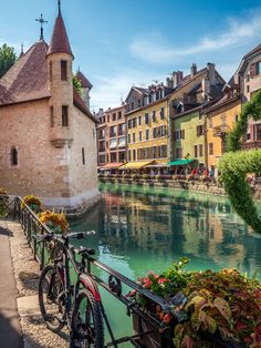 a bike parked next to a river with buildings in the background and flowers growing on the side