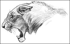 a drawing of a lion with its mouth open