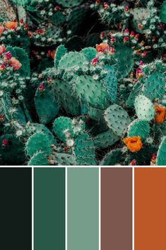 the color palette is green, orange and brown with cactus plants in the foreground